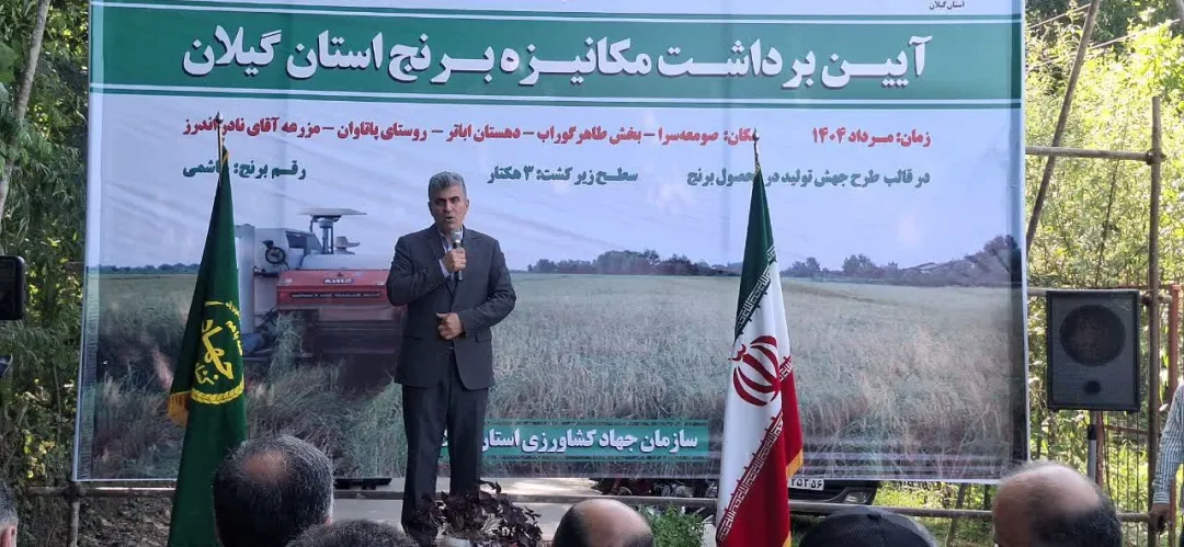 گیلان، پیشگام در کشاورزی نوین؛ جشن برداشت مکانیزه برنج، نویدبخش رونق و خودکفایی