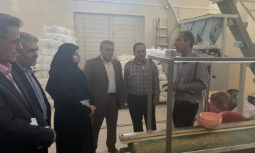 بازدید معاون اقتصادی استاندار زنجان از خطوط هوشمند بسته‌بندی شرکت آرین آرتان