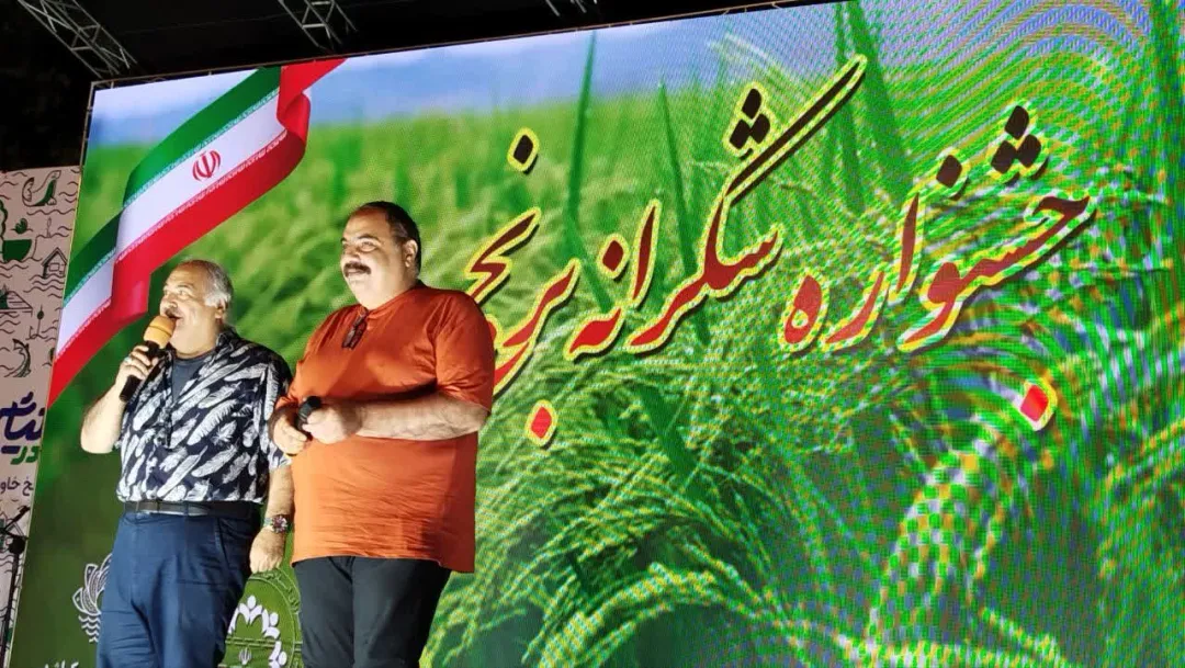جشنواره شکرانه برنج در بندر کیاشهر؛ تلاقی اقتصاد روستایی، فرهنگ بومی و توسعه پایدار