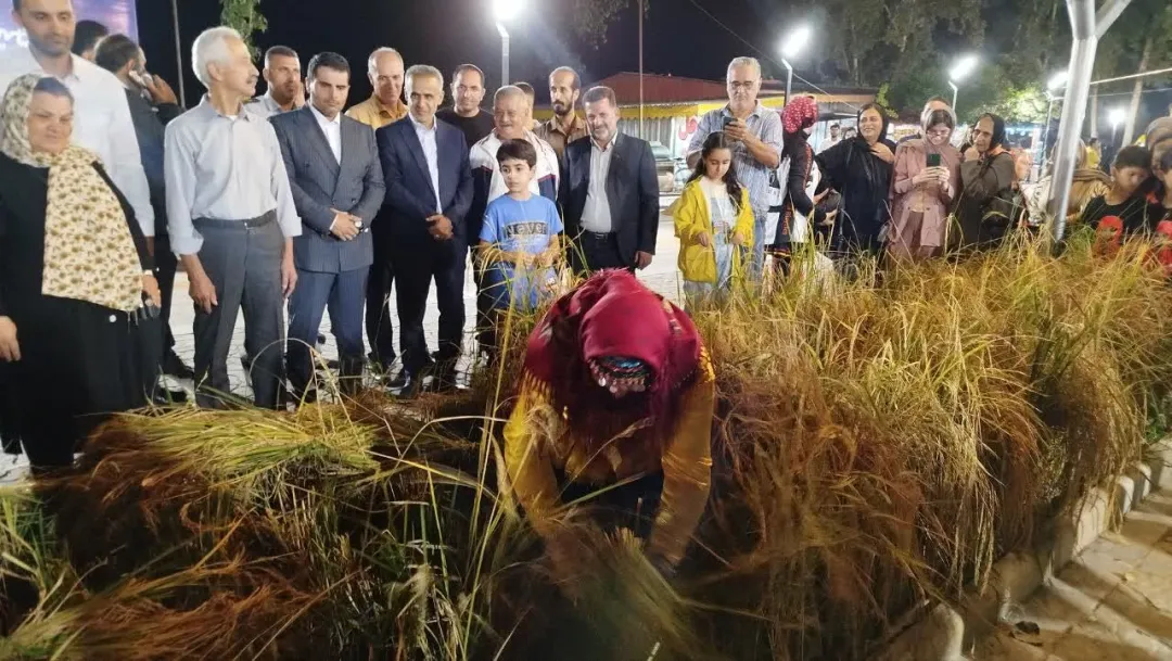 جشنواره شکرانه برنج در بندر کیاشهر؛ تلاقی اقتصاد روستایی، فرهنگ بومی و توسعه پایدار