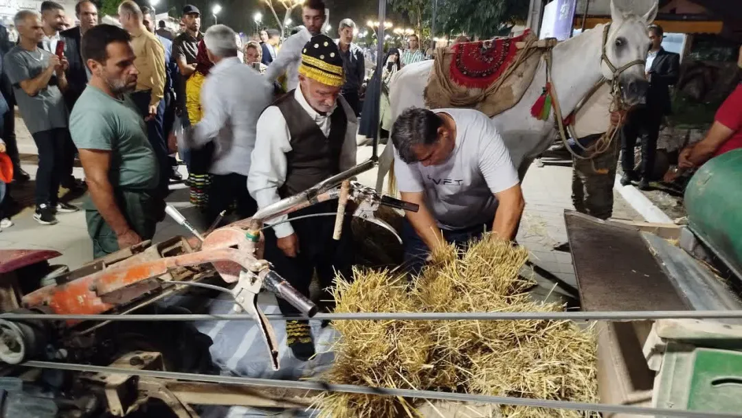 جشنواره شکرانه برنج در بندر کیاشهر؛ تلاقی اقتصاد روستایی، فرهنگ بومی و توسعه پایدار