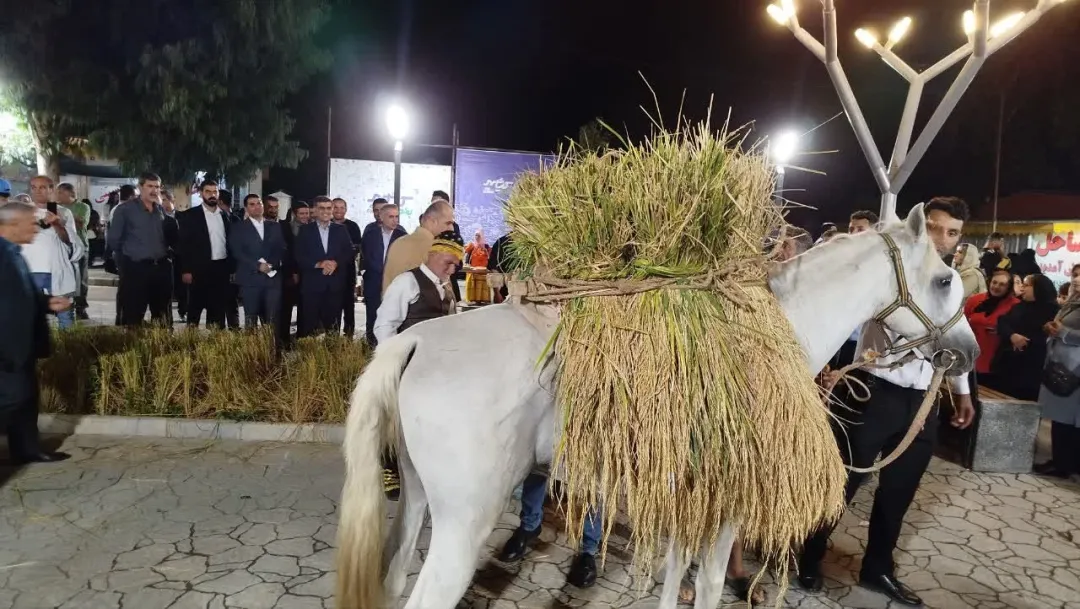 جشنواره شکرانه برنج در بندر کیاشهر؛ تلاقی اقتصاد روستایی، فرهنگ بومی و توسعه پایدار
