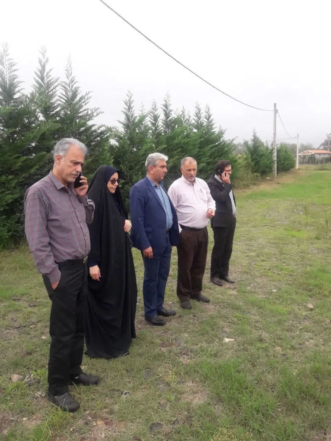 کیوی بدون خاک به بهره‌برداری رسید