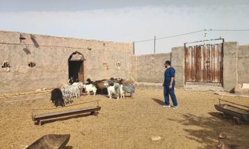 میدان داری به سبک جوانان جهادگر!