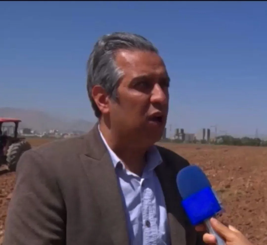 کشت کم آب و استراتژیک؛ نسخه ای برای پایداری کشاورزی