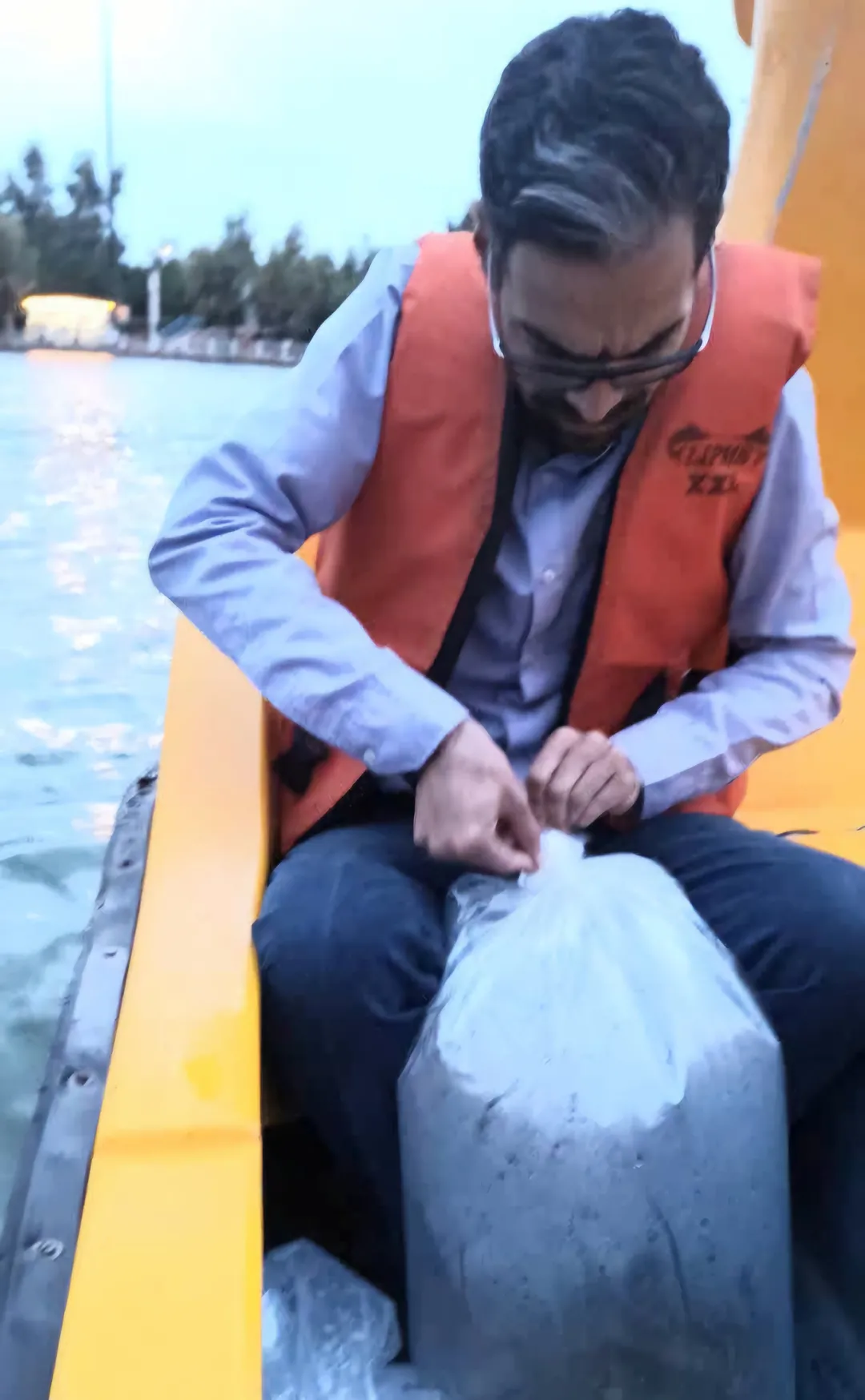 رهاسازی ۸۰۰ ماهی گامبوزیا در ساوه برای مقابله با پشه ناقل بیماری آئدس