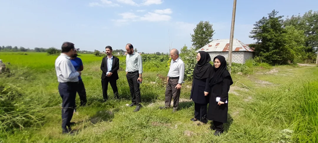 ارزیابی طرح‌های جهش تولید در گیلان: نوآوری و فناوری‌های نوین