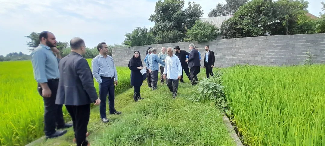 ارزیابی طرح‌های جهش تولید در گیلان: نوآوری و فناوری‌های نوین
