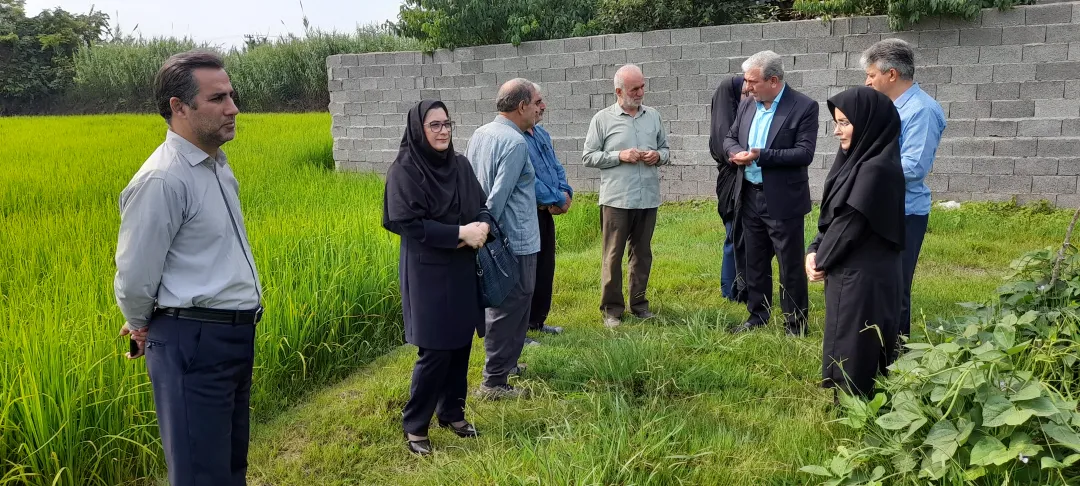 ارزیابی طرح‌های جهش تولید در گیلان: نوآوری و فناوری‌های نوین