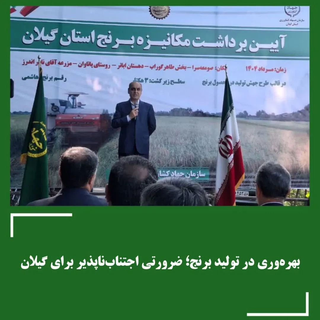 گیلان، پیشگام در کشاورزی نوین؛ جشن برداشت مکانیزه برنج، نویدبخش رونق و خودکفایی