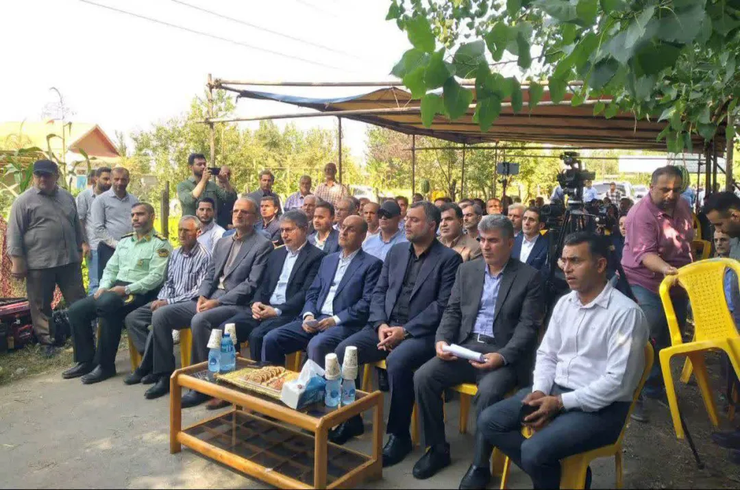 گیلان، پیشگام در کشاورزی نوین؛ جشن برداشت مکانیزه برنج، نویدبخش رونق و خودکفایی