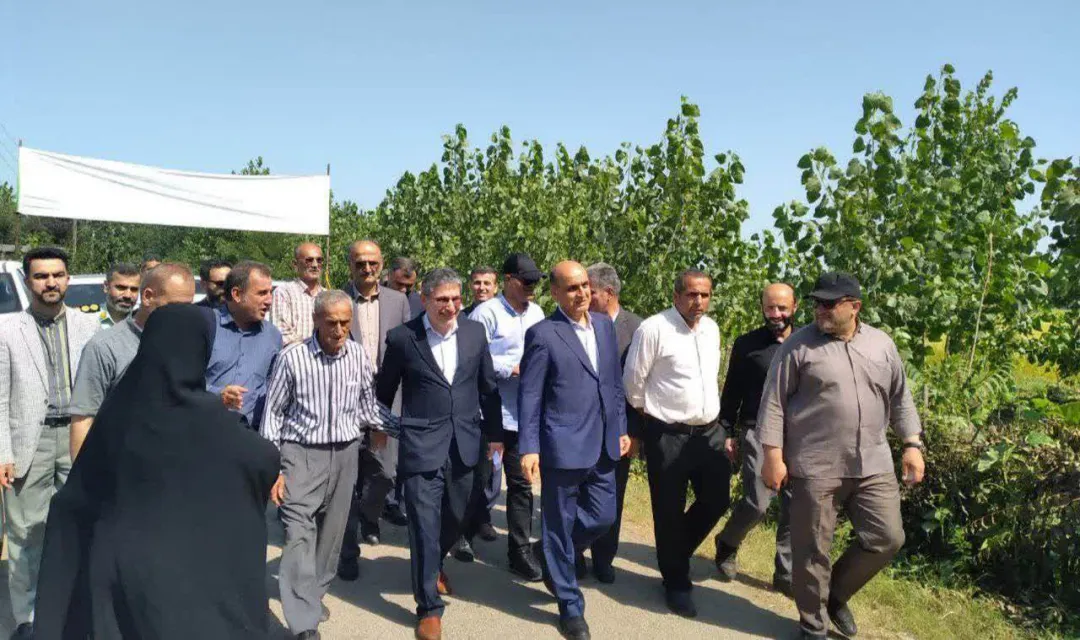 گیلان، پیشگام در کشاورزی نوین؛ جشن برداشت مکانیزه برنج، نویدبخش رونق و خودکفایی